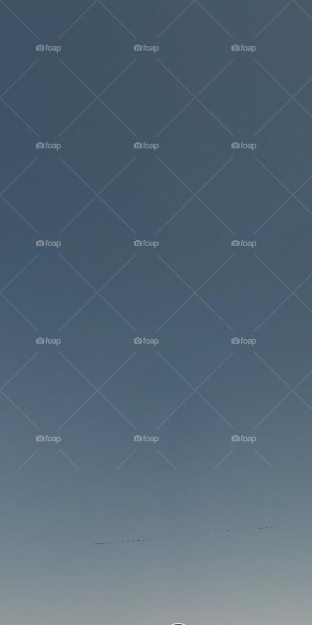 Bầu trời Trong xanh.