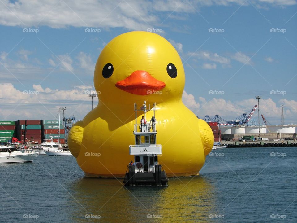 The World's Largest Rubber Duck