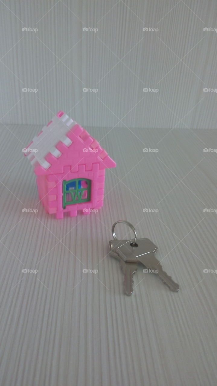 plastic house and keys