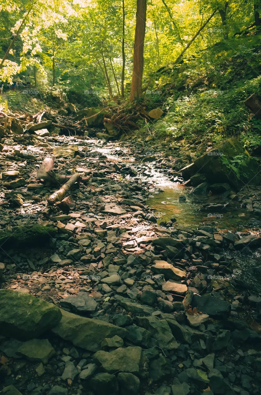 Hiking walk at Tiffany Falls, Hamilton, Ontario, Canada.