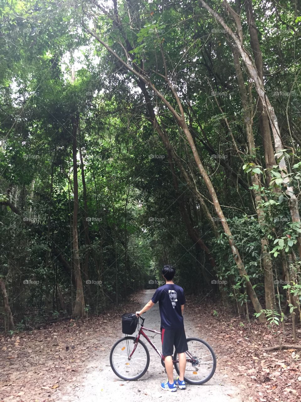 Young man with a bike looks down a dark path that leads into a deep tropical forest 