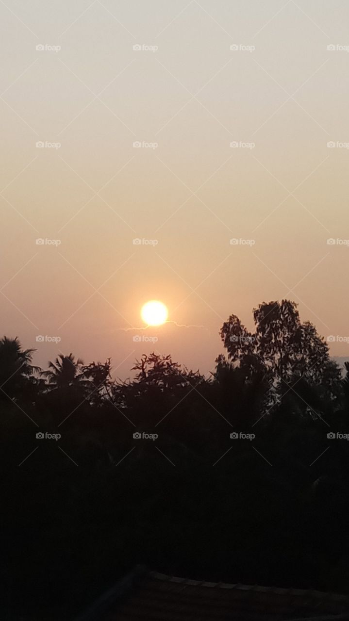 Evening click on sunset and very natural photo