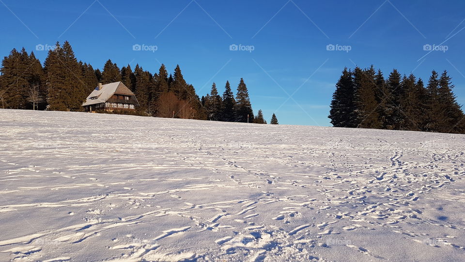 A snow filled landscape with a wooden chalet in the black forest on a clear and sunny winters day.