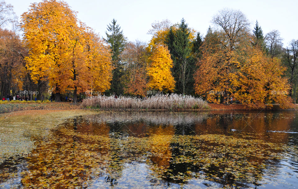 Warsaw park in November 