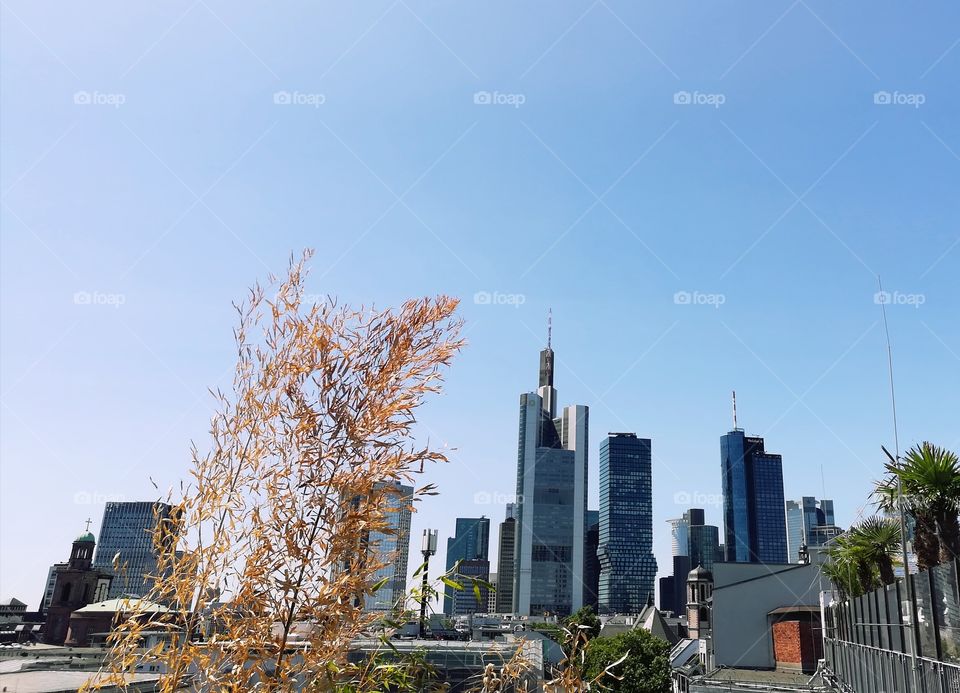 Skyline Frankfurt/Main