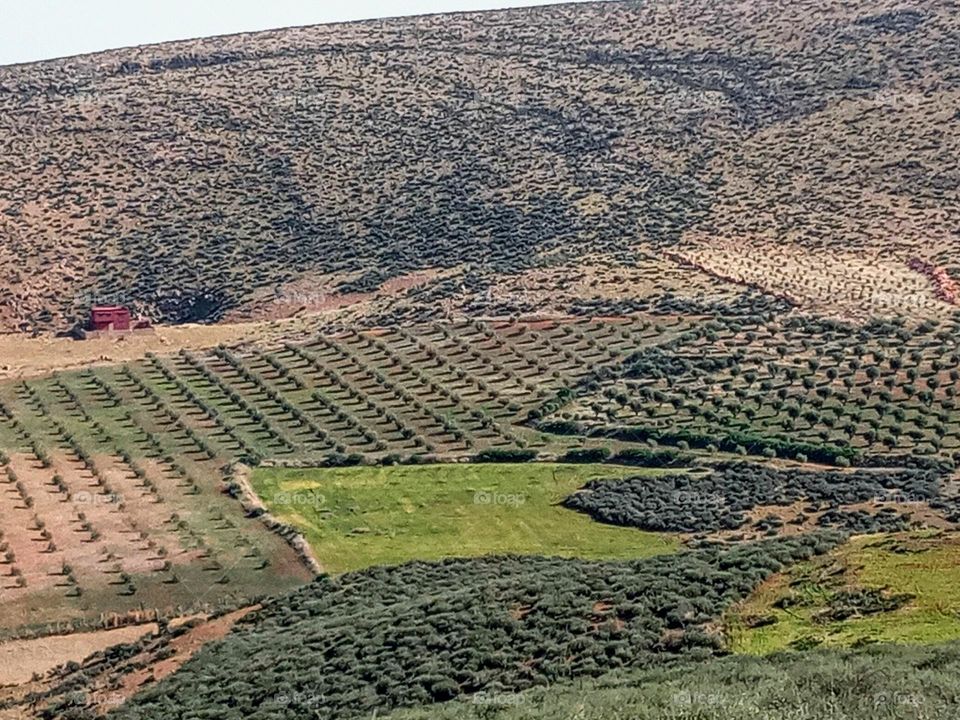 Beautiful day Landscape whit agricultural land