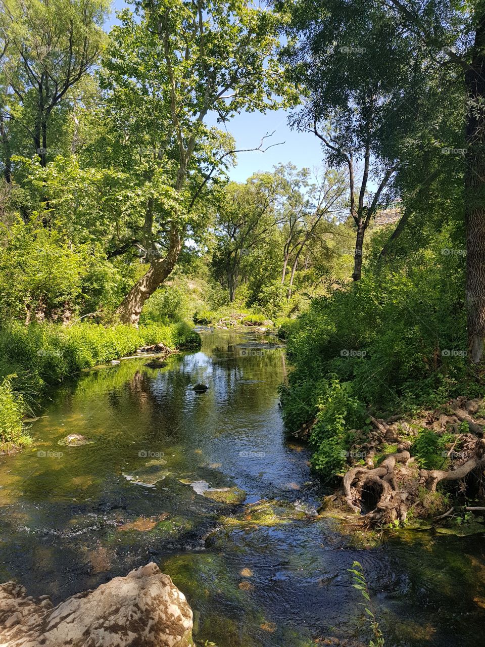 summer, in the nature 😉😉😉🌞🌞🌞🌞🌞😉😉😉