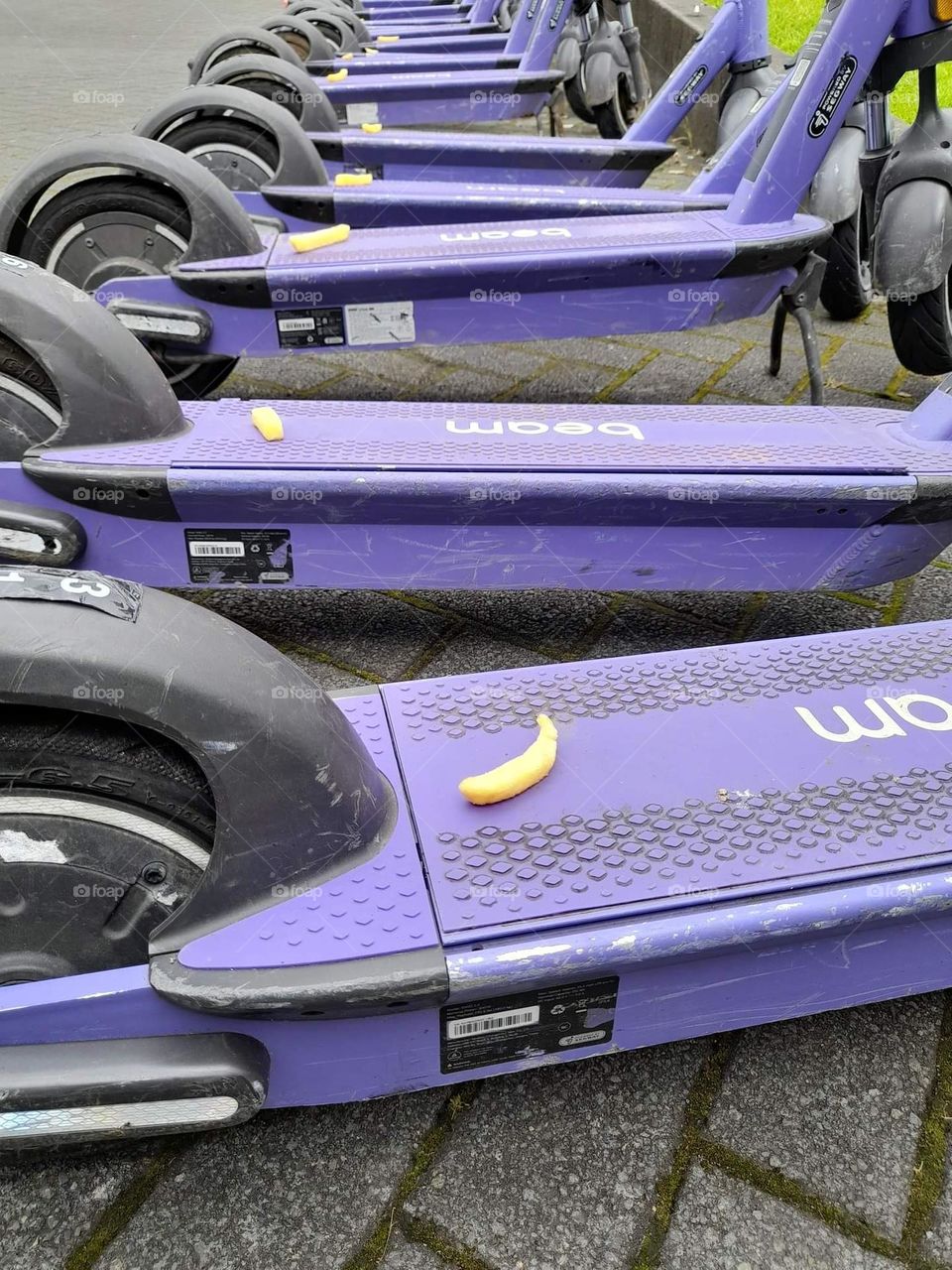 Scooting through the community, one ride at a time! 🛴🌟 Join me as we explore the neighborhood on our trusty scooters, enjoying the fresh air and the company of friends. Let's roll together and create unforgettable memories!