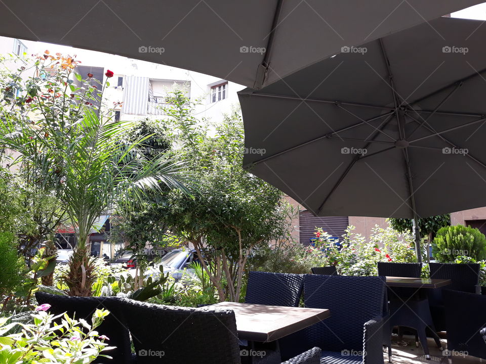 relaxing time in a coffee shop