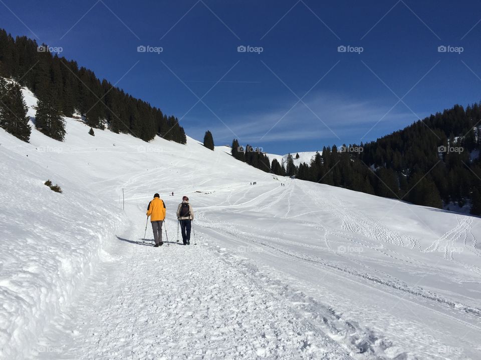 View of a snowy land