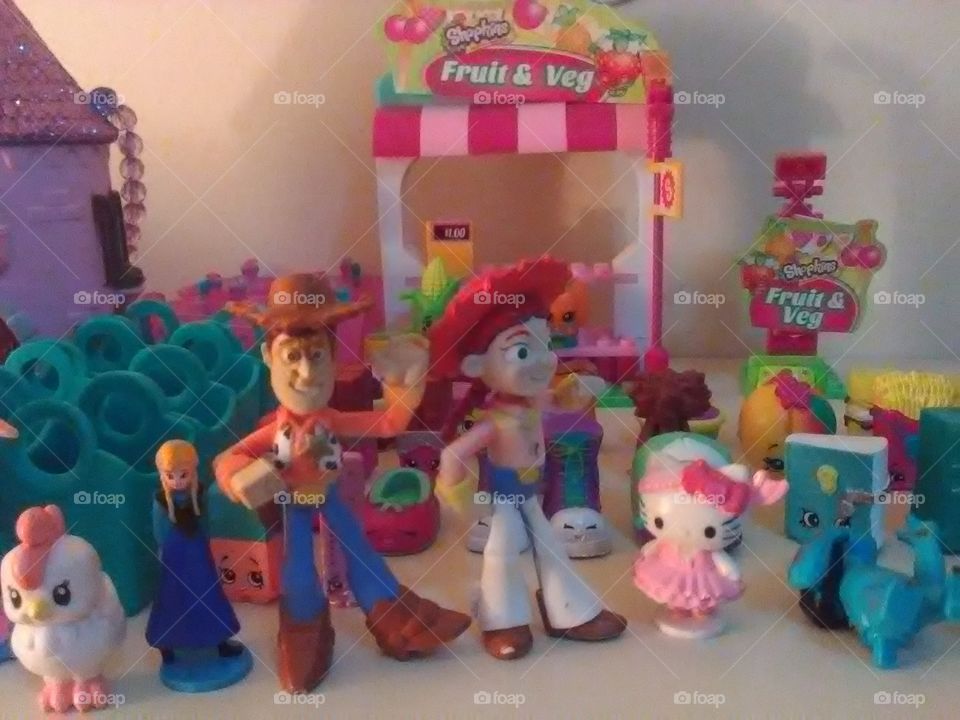 Shopkins Collection. 
Toy Story Collection. 
Daughter's Toys