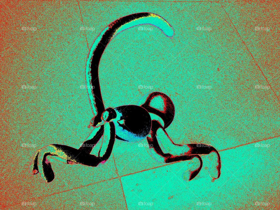 Illustration, Art, Animal, Abstract, Vintage