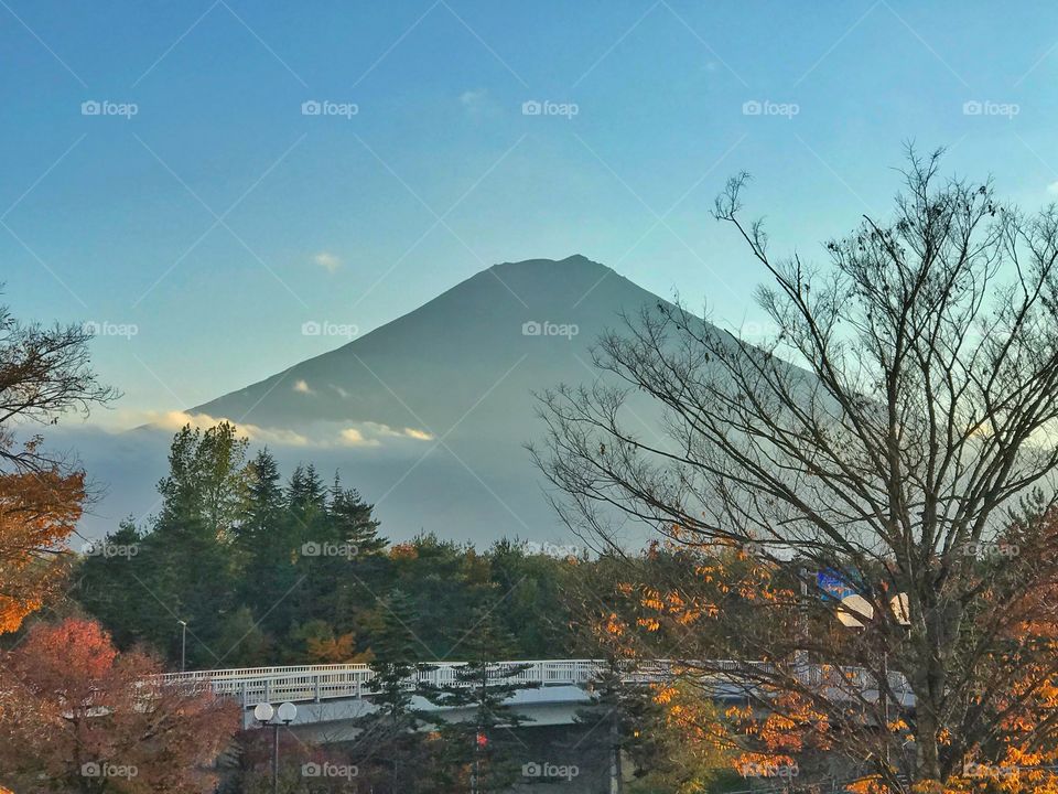 Fuji moutain (Mt.Fuji)