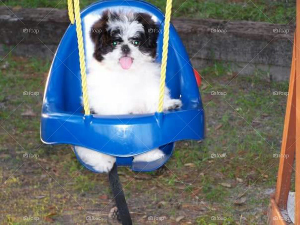 Just A Swingin'