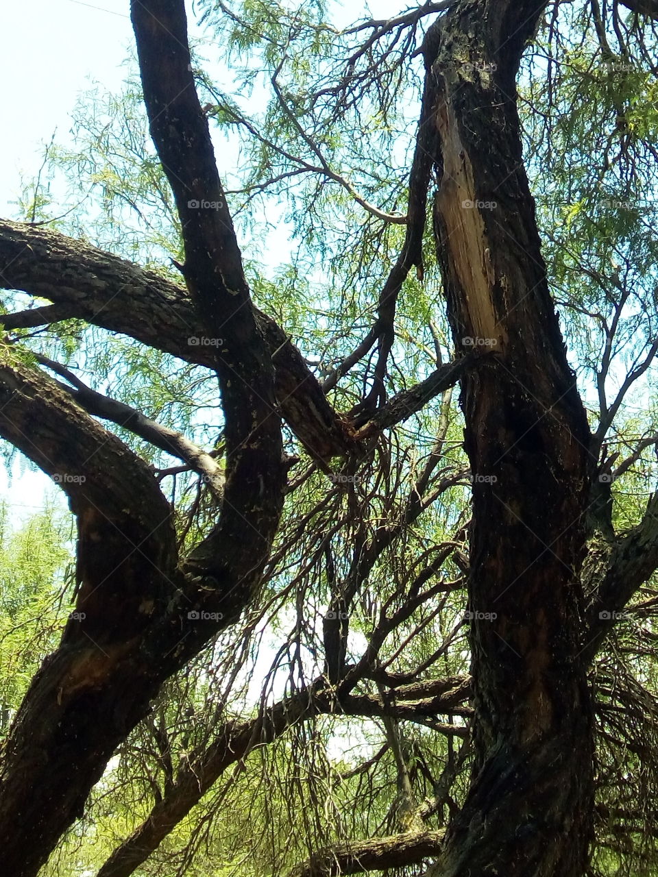 cansado por el tiempo