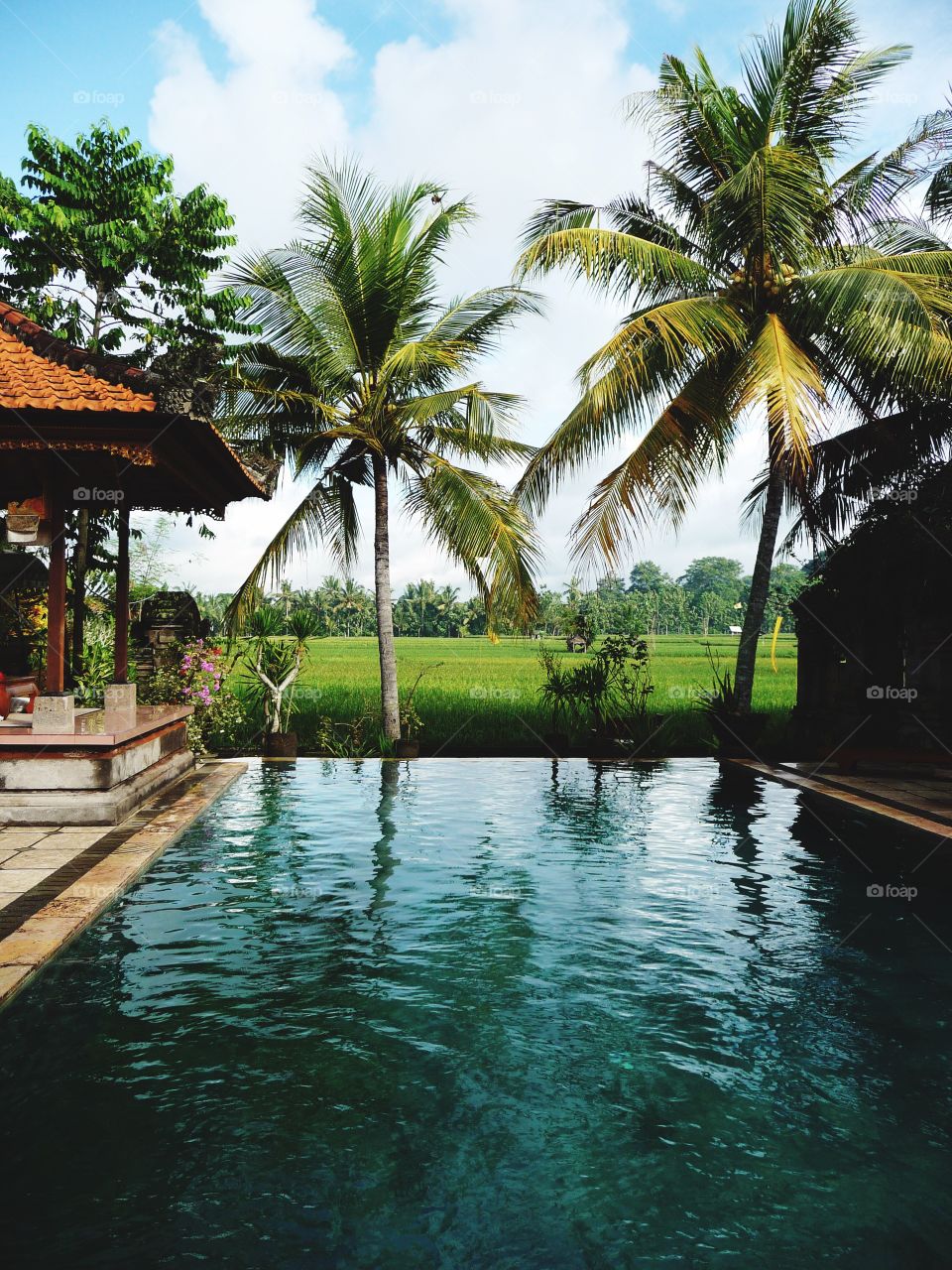 Idyllic swimming Pool on Bali