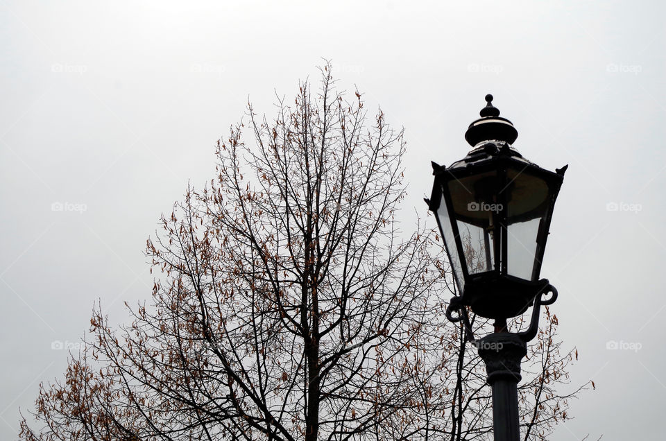 Low angle view of old-fashioned lantern against tree and sky in Berlin, Germany.
