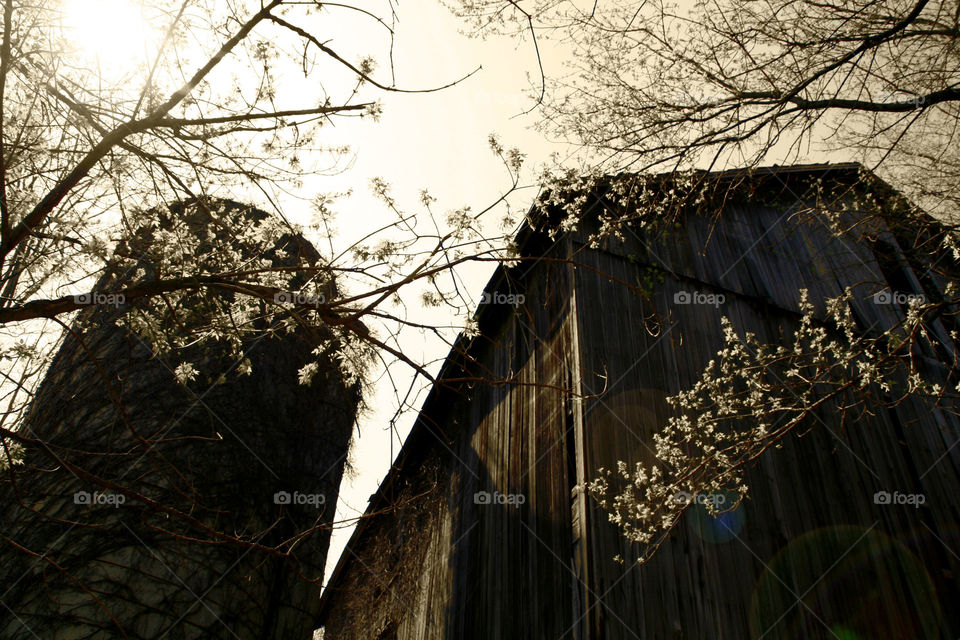 Take the Nostalgic Way Home ( Series )