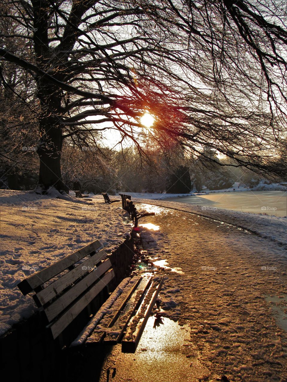 In the park