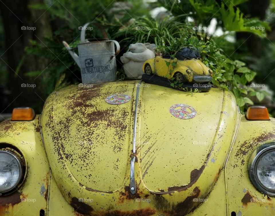 Old rusty yellow car with plants and trinkets on top