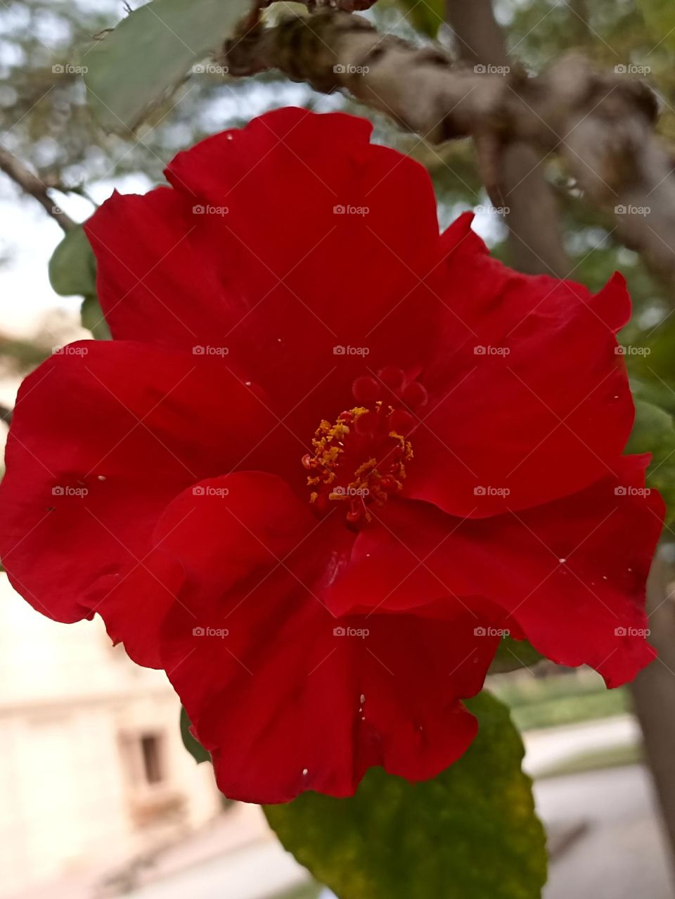 love to have you in my life