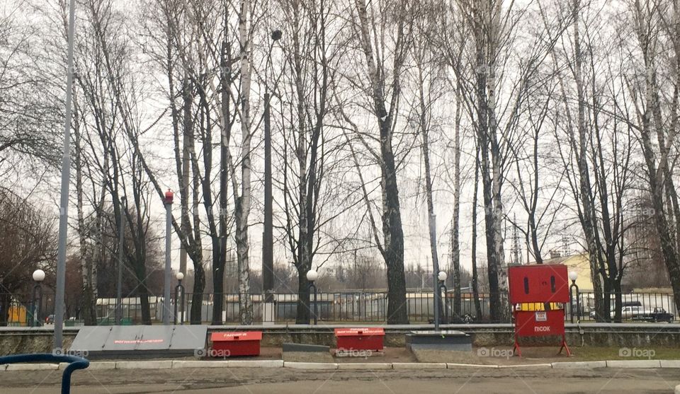 Autumn contrasts of black naked trees and red boxes