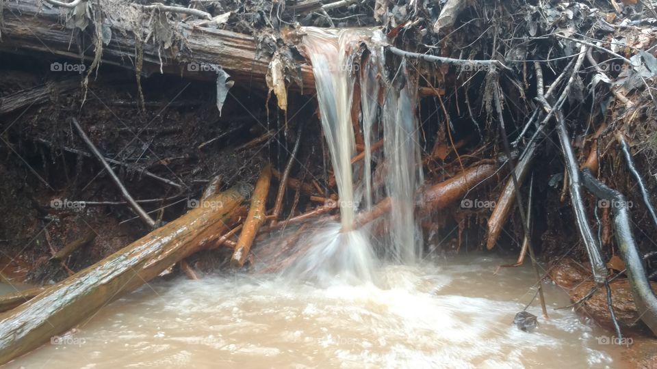 Water, Nature, River, Wet, Stream