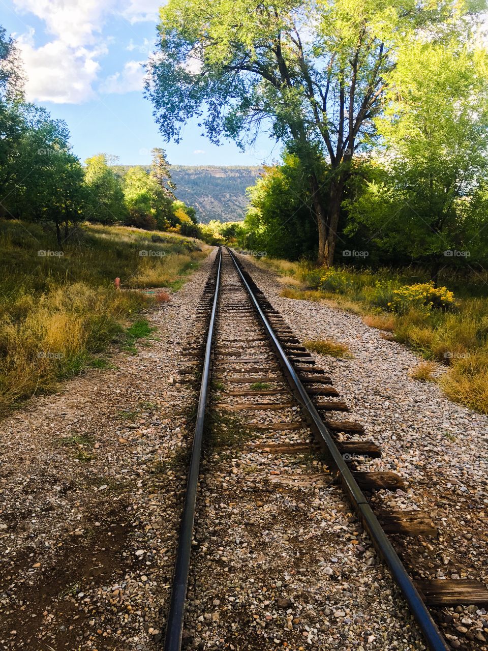 Train tracks