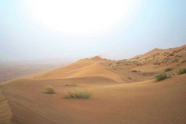 Desert