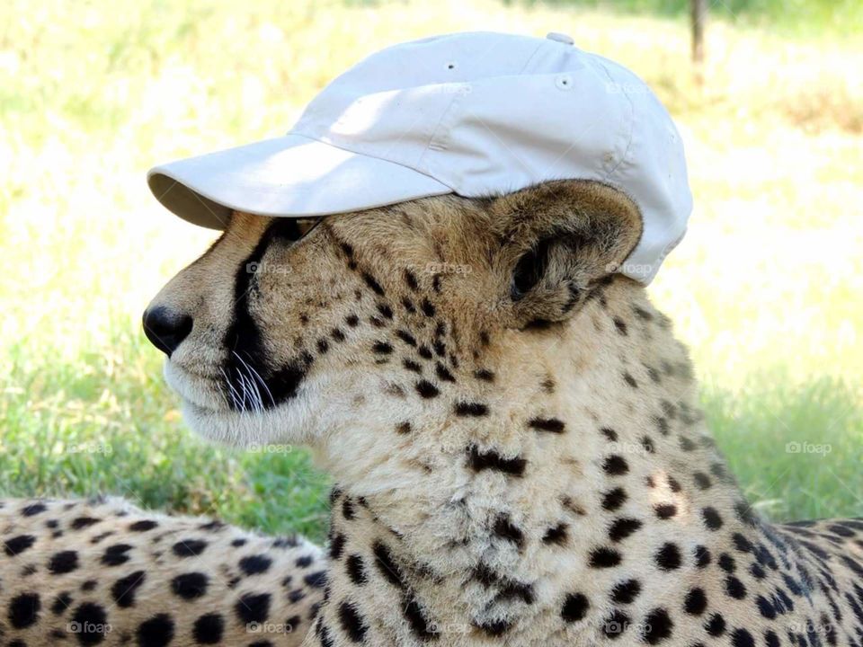 Don't forget your hat!