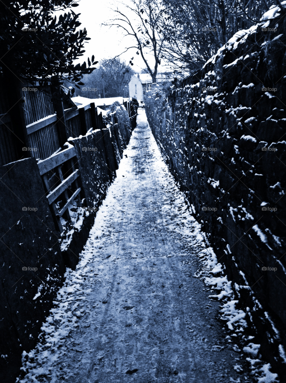pathway snow winter cold by edalley