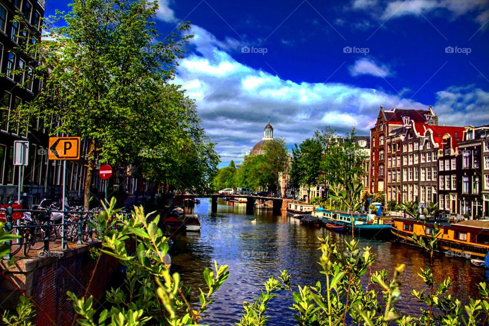 Amsterdam. trips