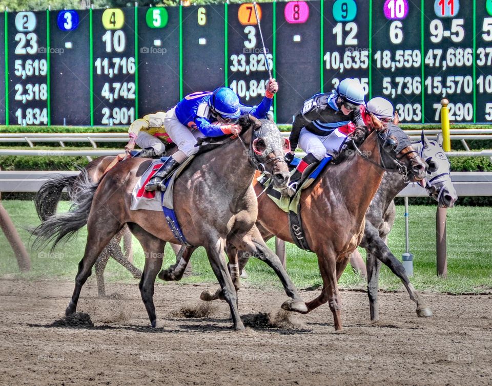 Racing from Saratoga. Racing from historic Saratoga race course. Rosie Napravnik and Ramon Dominguez battle it out to a photo finish. 