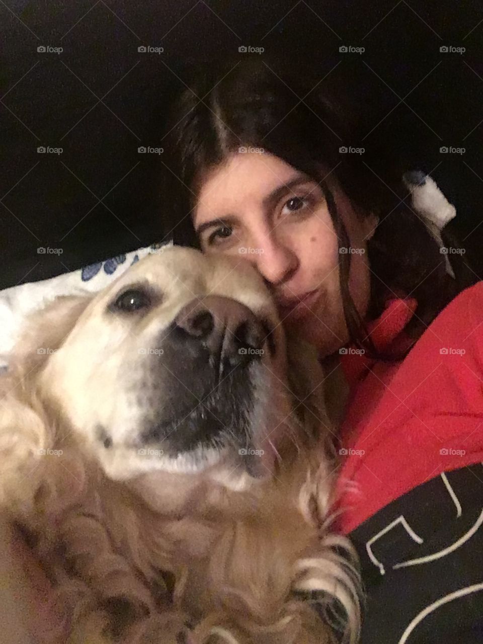 Portrait, Dog, Love, People, Cute