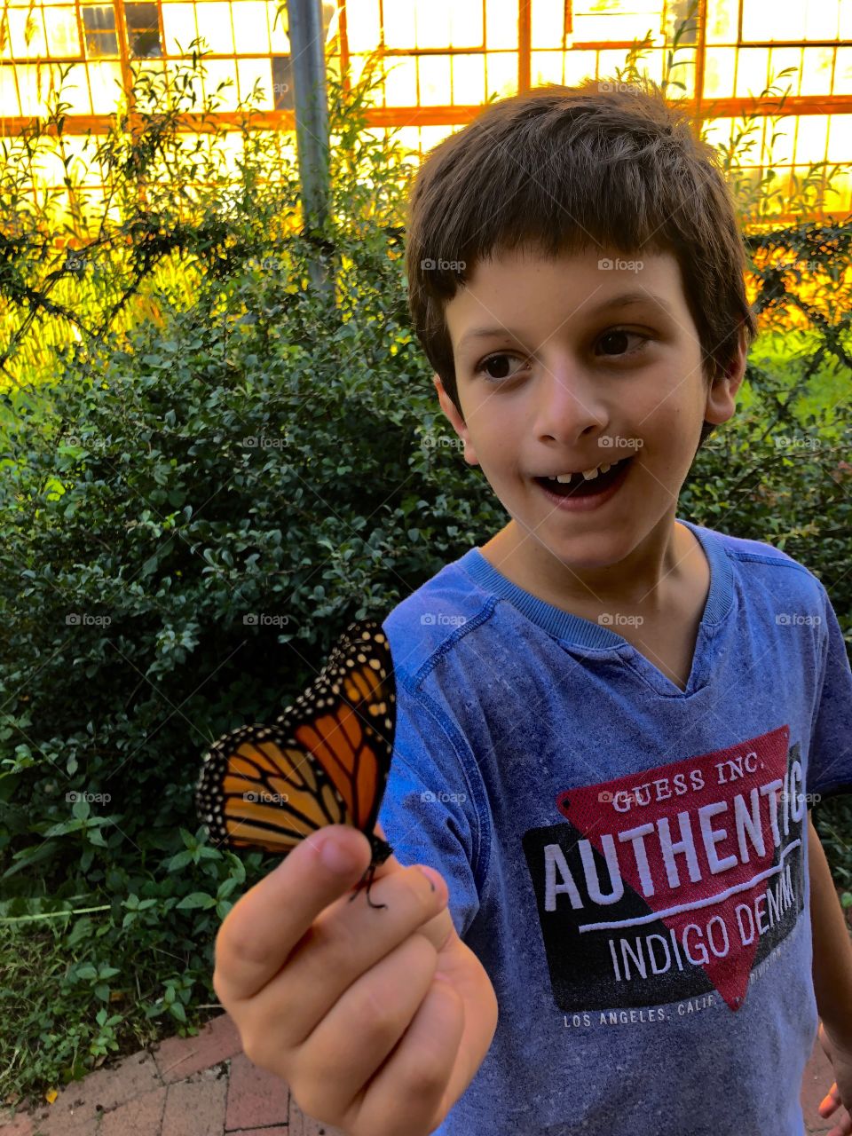Boy with Butterfly