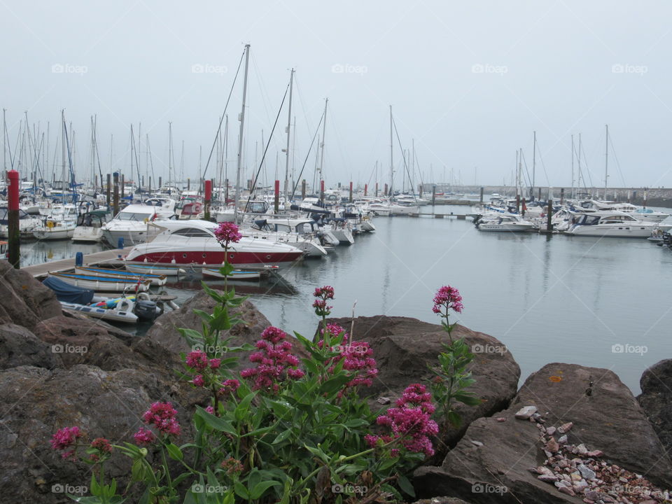 Brixham Harbour