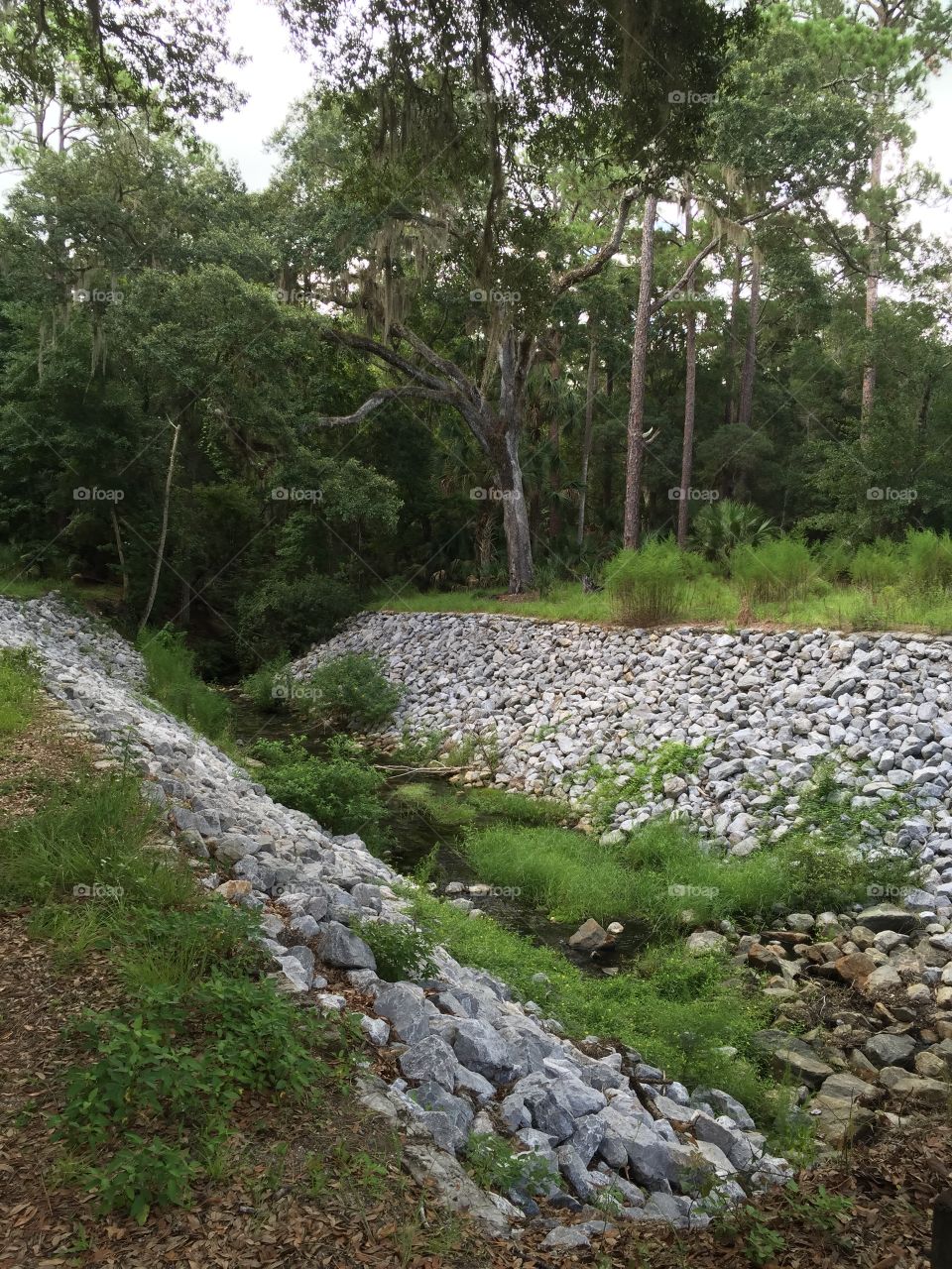 Dam.. Scenic route, called the loop.