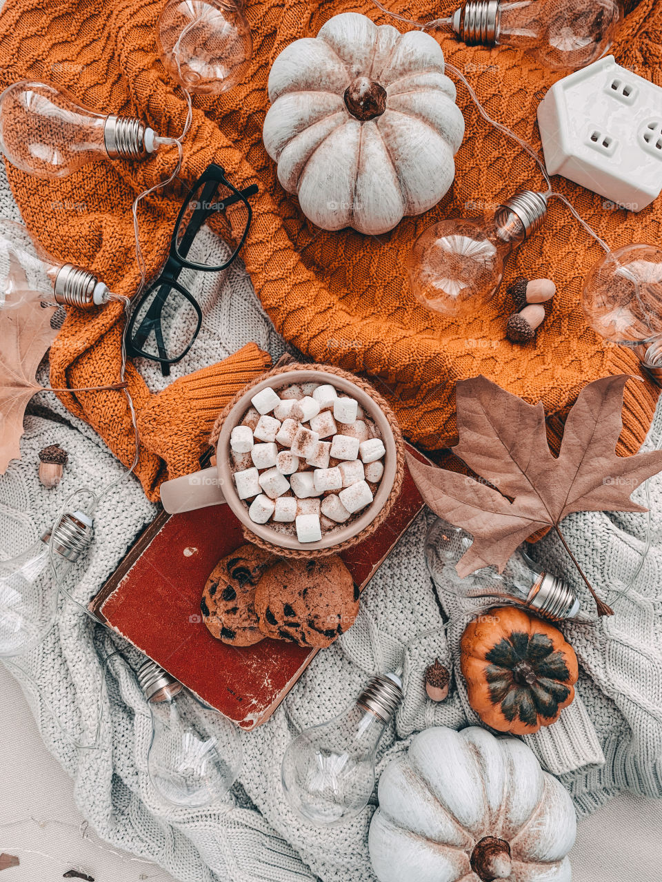 Autumn flat lay photography