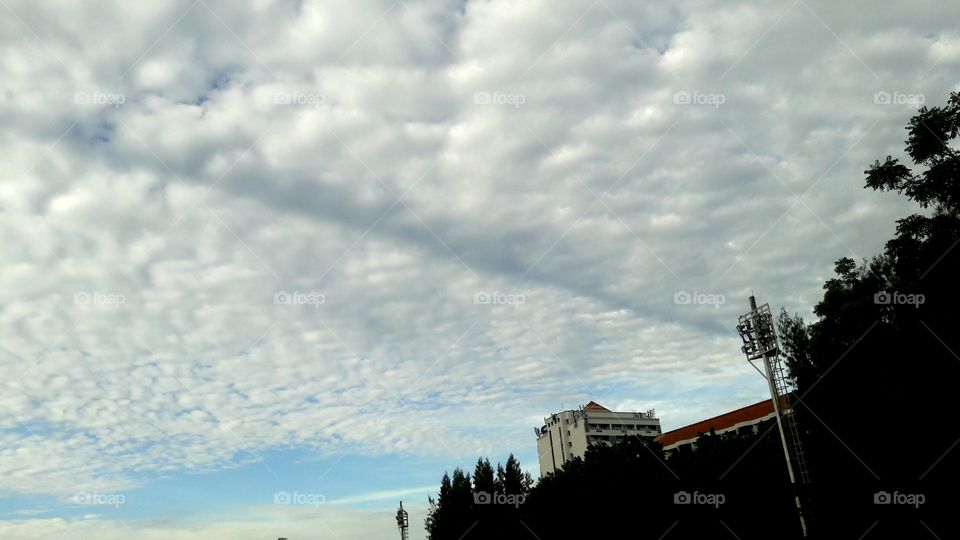 cirrostratus clouds