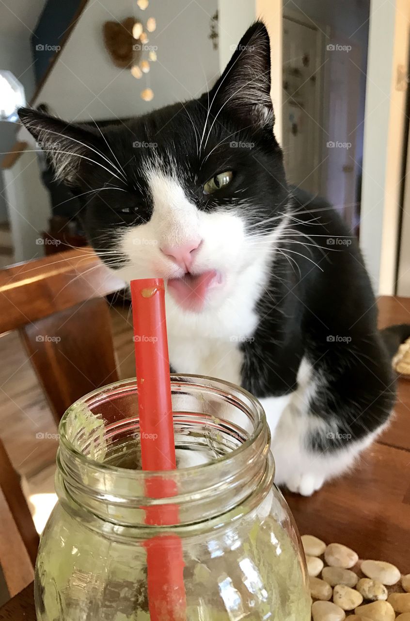 Is that kale in my smoothie?