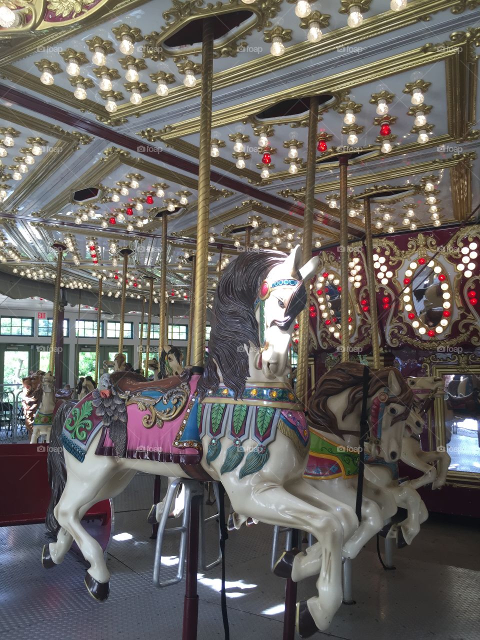 Roger William's Carousel 