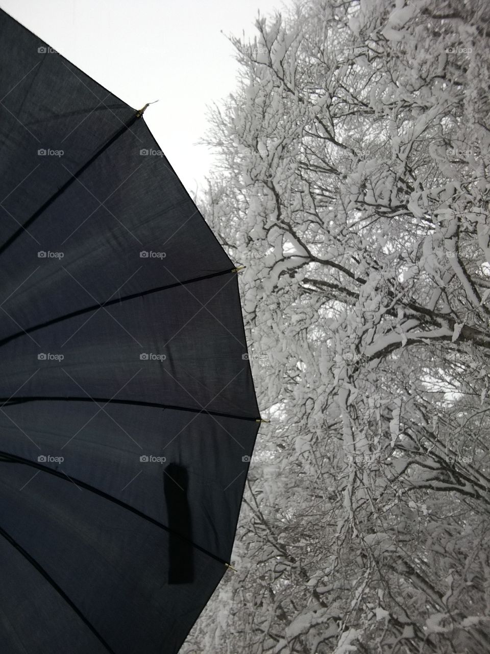 A round black  monster contrasts with the white of the snow