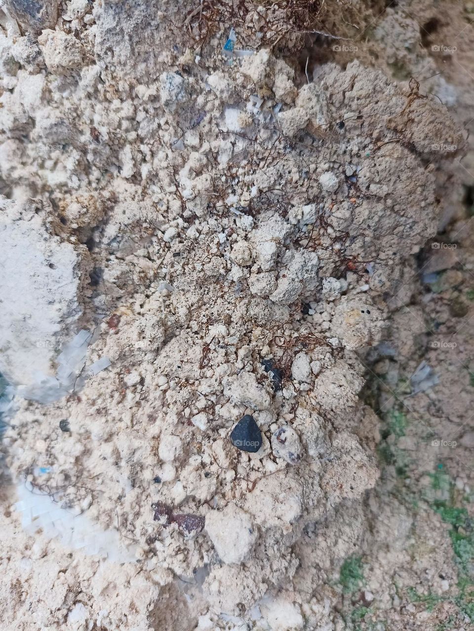 Close-up view of rough limestone soil texture with several colors mixed in. The surface appears uneven and grainy, with light brown, white, and slightly green colors