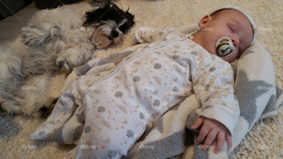 Sleeping dog and sleeping baby