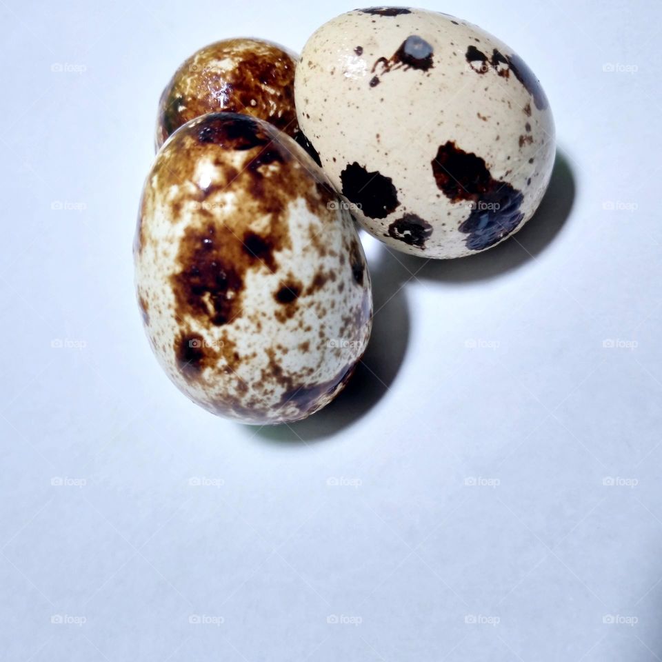 Colored quail eggs on white background