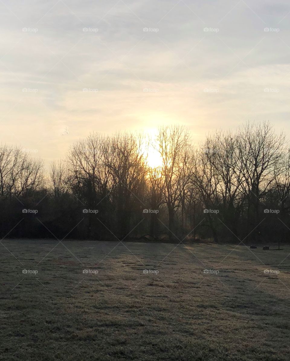 Sunrise behind the trees Hagerstown Maryland winter time 