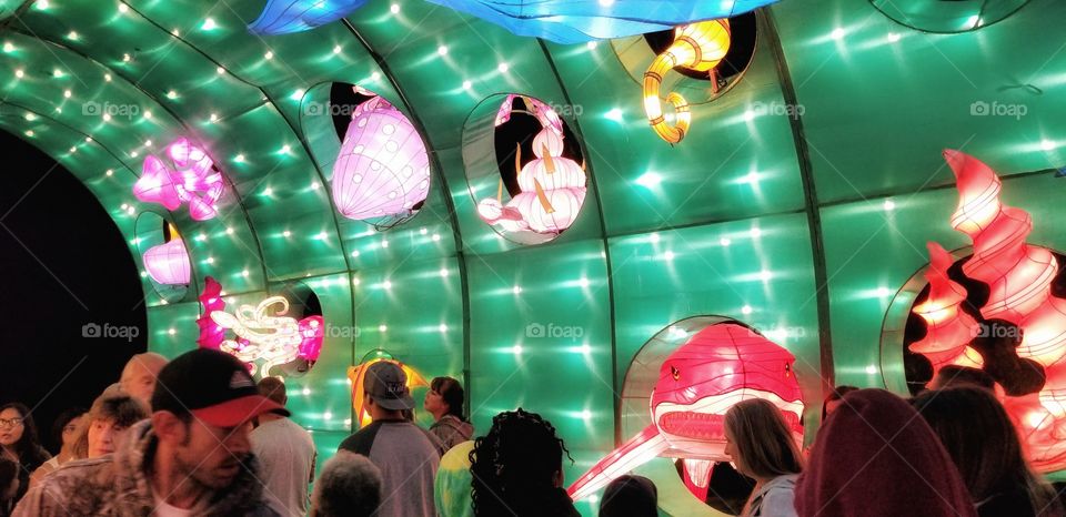 ILLUMINATION of Lights