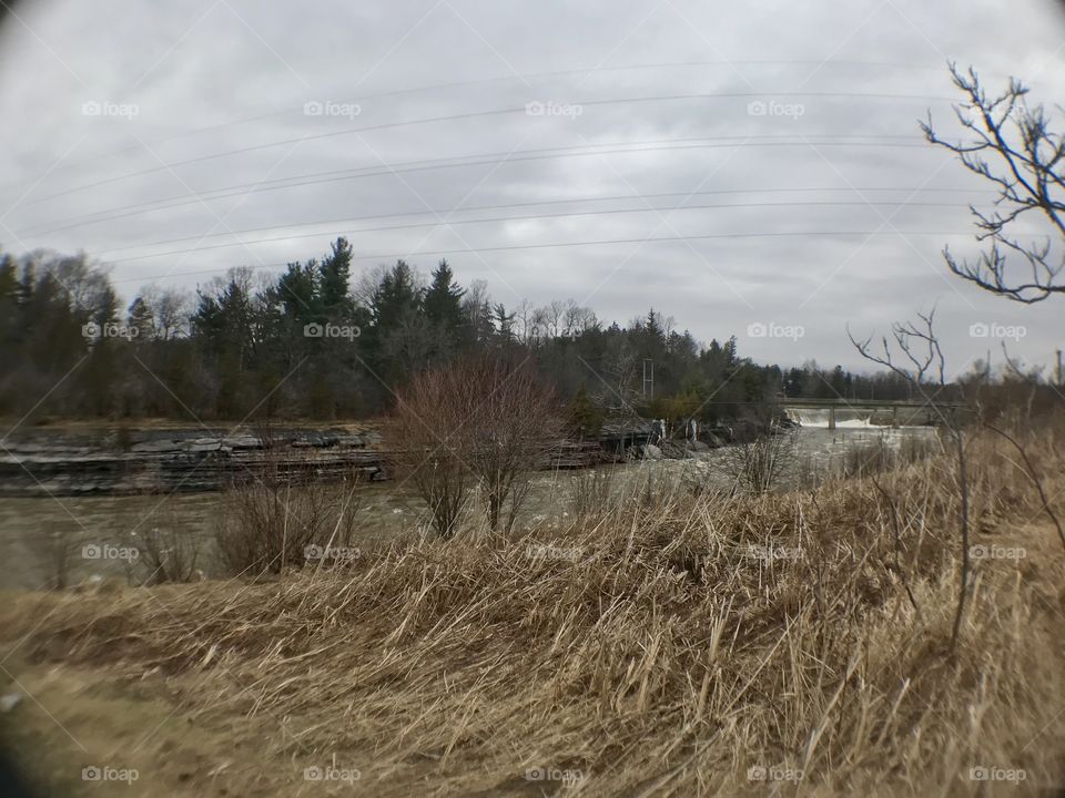 Brush along Black River
