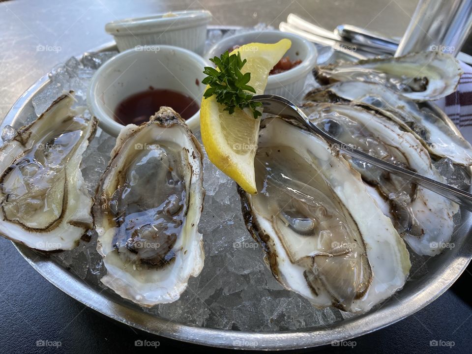 Oysters 