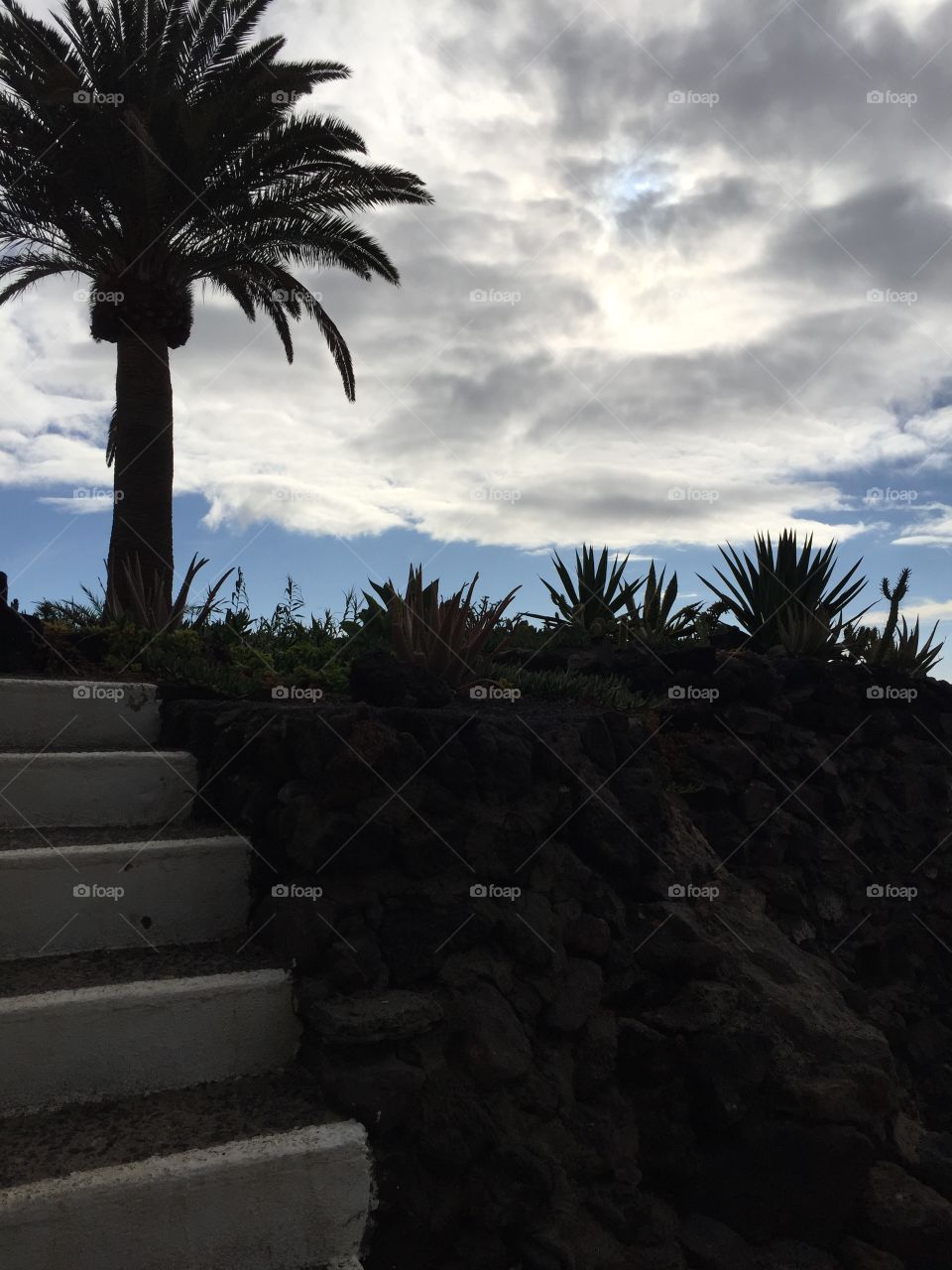 Islas Canaria Lanzarote 